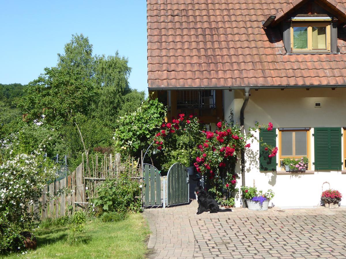 Ferienwohnung Waldblick تْسفايبرُكن المظهر الخارجي الصورة